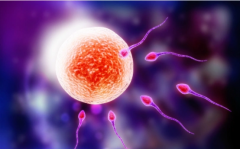 浙江省杭州第三代试管价格是多少？附三代试管费用明细说明