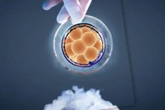 广东省深圳市三代试管费用真实价格，备孕夫妻收藏