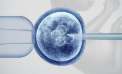 2026安徽合肥市三代试管包成功最新政策：流程/费用及注意事项