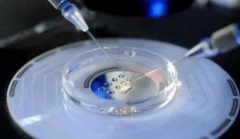 湖北省做三代试管助孕大概要花多少钱？附湖北三代试管婴儿费用明细