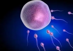 2026年广东广州三代试管助孕费用一览：8万到15万，价格明细曝光