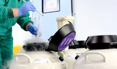 2026武汉试管婴儿私立机构排行榜出炉：前五强避坑指南+真实评价