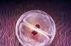 昆明市三代试管助孕费用明细，详细价格清单供你了解