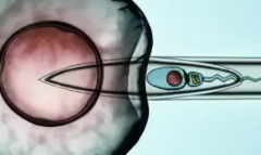 哈尔滨市哪家医院做试管婴儿包成功靠谱？