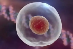 绍兴做三代试管婴儿的费用大概是多少（预估6-10玩）附上明细标准参考