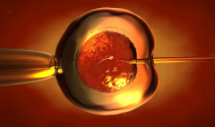 2026郑州三代试管婴儿助孕收费明细，各项目费用全公布