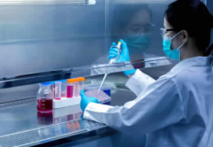 2026年在武汉市做三代试管婴儿包成功靠谱吗？流程及注意事项一览