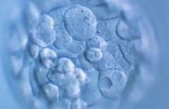 吉林三代试管助孕费用大概要多少？2026各环节花费