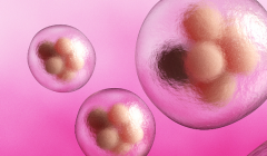 郑州市三代试管婴儿费用明细公布？推荐本地优质医院及价格参考