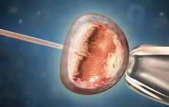 2026年西安市三代试管助孕费用表：备足这个金额成功率高