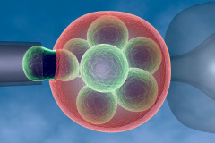 2026年杭州做试管婴儿大概要花多少钱？有哪些因素会影响杭州试管婴儿