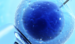 湖北省咸宁做三代试管婴儿的价格一览表公布