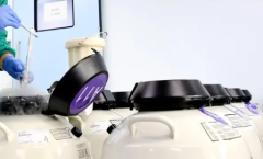 海口市私立试管医院排名前十名单汇总