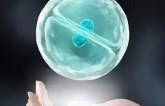 海口市试管助孕费用明细一览！一分钟掌握全部花销