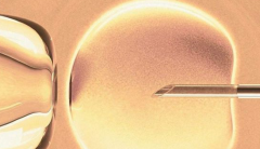 2026年湖北私立机构做助孕生孩子大概要花多少钱？