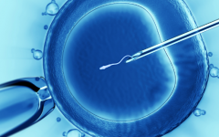 2026贵阳第三代试管婴儿费用明细表(每个项目价格真实公开)