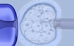 贵州贵阳三代试管助孕生育孩子费用清单