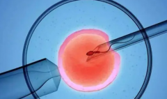 2026年福建福州做三代试管婴儿助孕大约需要多少费用？费用明细清单出