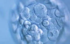 2026年安徽省三代试管婴儿助孕费用与项目一览