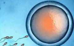 在长春做三代试管助孕要花多少钱？试管费用详细清单及注意事项