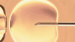 开封第三代试管收费标准是多少？附2026年费用清单实例参考