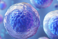 2026安徽三代试管婴儿费用全览，价格预估清单