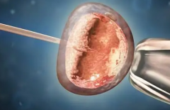 没有结婚证能在石河子第一附属医院做试管吗？最新试管费用及成功率