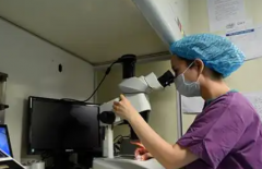 2026广州市十大助孕公司一览，附助孕机构费用和成功率明细