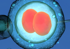 2026国内做第三代试管婴儿多少钱，详细费用盘点