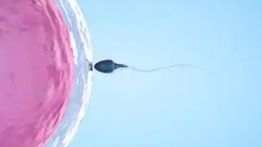 2026兰州三代试管助孕费用清单：所有项目价格全包括