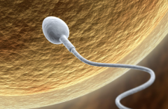 山西省太原市第三代试管婴儿助孕全面指南：费用明细解析