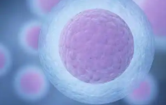 2026年浙江省三代试管婴儿助孕整体花费大概是多少？费用详细清单公布