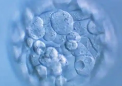 浙江杭州三代试管婴儿助孕花费分享：一般花费10-20万上下