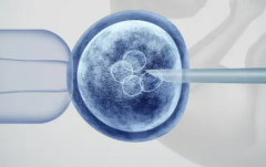 辽宁做试管婴儿费用多少？一次助孕具体花销+优质医院推荐