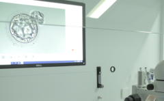 2026浙江省杭州十大助孕机构名单曝光：仅五家值得选择