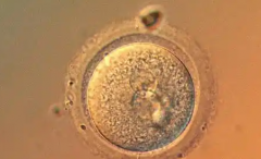 2026年单身人士在襄阳市中心医院试管婴儿费用价格表全览