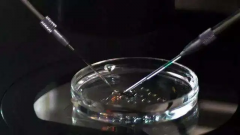 石家庄三代试管婴儿助孕怀孕费用明细，附具体花费与成功率情况