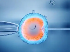 南昌市做试管婴儿包成功需要的条件有哪些？