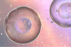 沈阳市做三代试管婴儿的费用大概多少钱？费用明细全公开