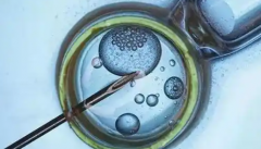 贵州省遵义助孕生子做三代试管婴儿费用多少？预算清单解析