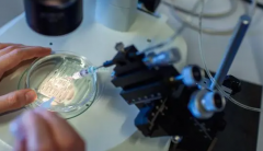 哈萨克斯坦试管婴儿不能确保百分百成功，包成功多半是骗人套路