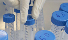 赣州人民医院单身人士做试管成功率怎么样？