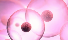 2026郑州做第三代试管婴儿费用多少？8-12万元是怎么算出来的？