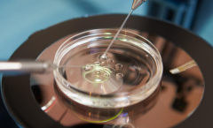 哈尔滨试管私立医院名单汇总：都是哈尔滨市正规且靠谱机构