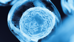 2026年浙江杭州试管婴儿生孩子费用公开：医疗+生活开销最低12万