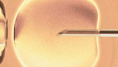 河北省三代试管怀孕成功大概需要花多少钱？通常8万到12万