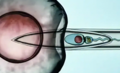2026年去西安市做三代试管助孕大概要花多少钱？各项收费明细全览