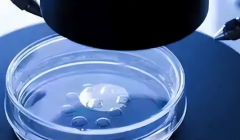 2026年在海口市做三代试管婴儿助孕大约需要多少费用？费用明细公开