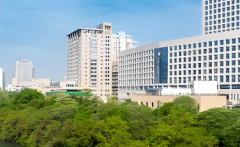 2026助孕机构排名，广东惠州市成功率前十的靠谱助孕公司盘点