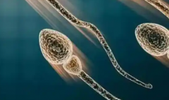 福建省第三代试管婴儿费用攻略：想省钱别错过这篇